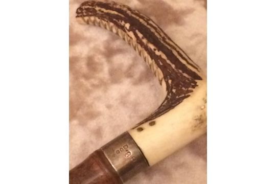SWAINE & ADENEY VICTORIAN BAMBOO HORSE MEASURING STICK WITH ANTLER HANDLE - Image 3 of 5
