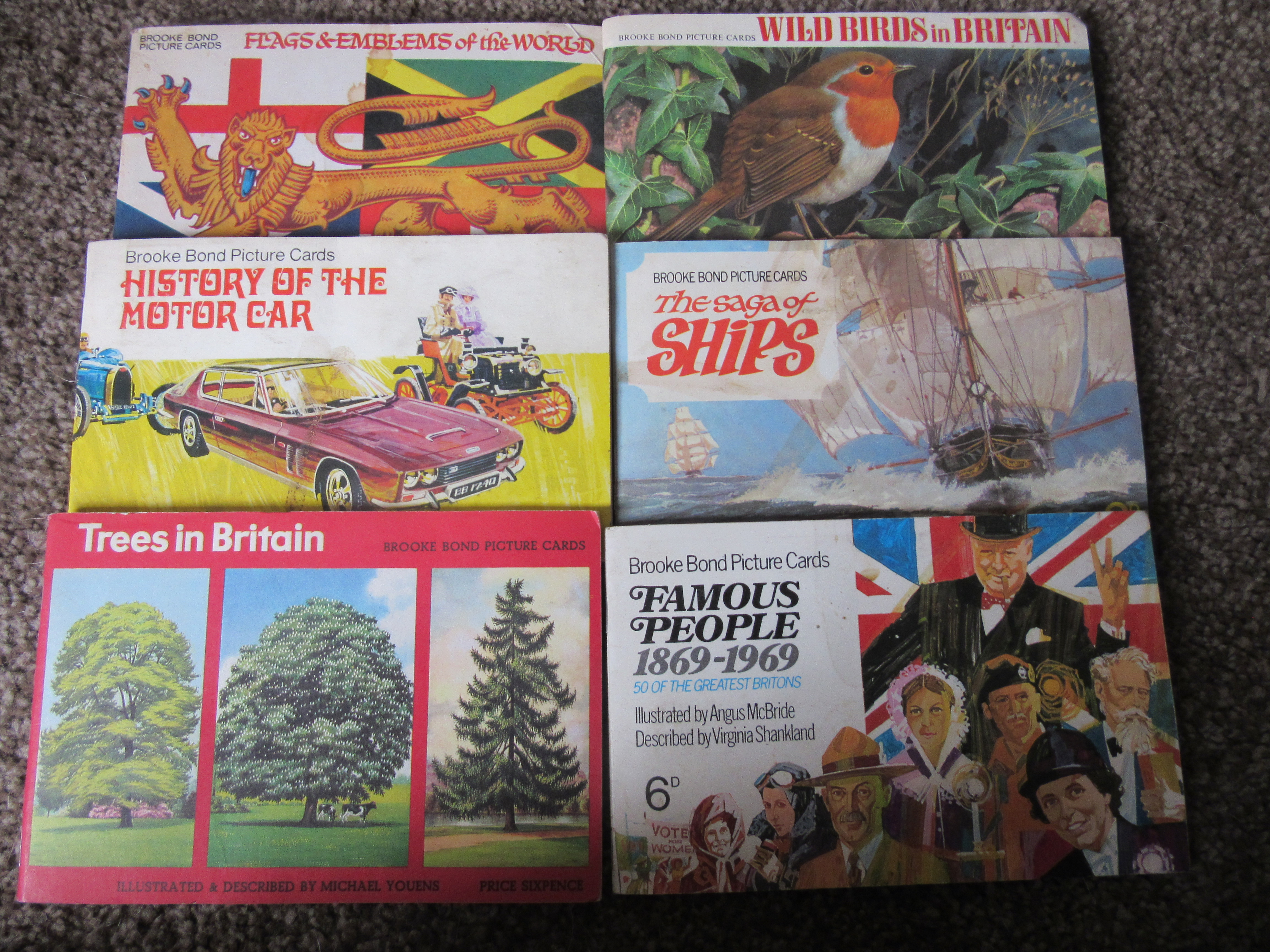 LARGE COLLECTION OF BROOKE BOND & PG CARDS - Image 2 of 8