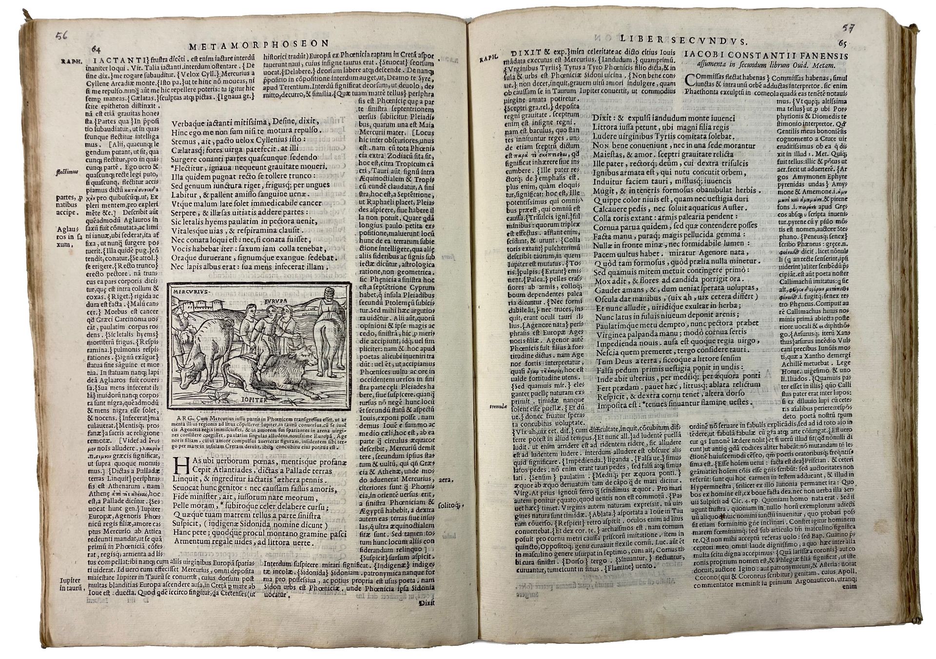 OVIDIUS. Metamorphoseon Libri XV. Raphaelis Regii (…) explanatio, cum novis Jac. Micyllus (…) additi - Bild 2 aus 2