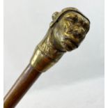 AN EARLY NATIVE AMERICAN WALKING STICK WITH DOUBLE FACED BRASS HANDLE. 92cms