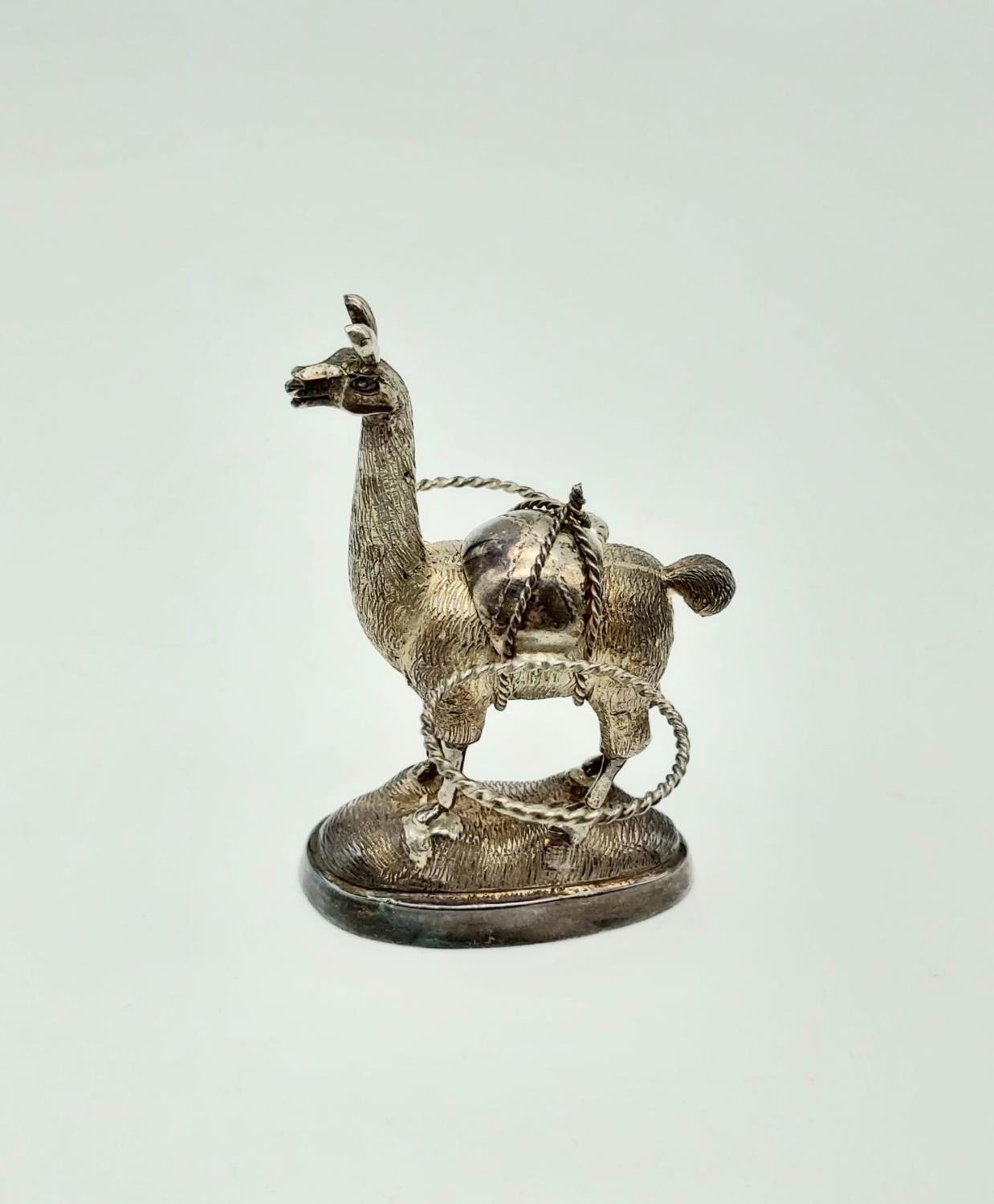 An Antique Peruvian Novelty Cruet Salt and Pepper Set Housed on a Llamas Back. Hallmarked silver - - Image 8 of 15