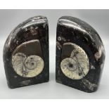 A pair of heavy fossiliferous limestone bookends. With Devonian (400 million years old) Ammonites
