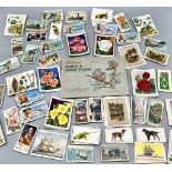 A Collection of Over 100 Vintage and Antique Cigarette Cards.
