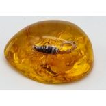 A Scorpion Trapped in an Amber-Coloured Resin Pendant. 6cm.