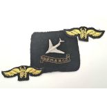 Vintage two Air Force badge (possibly military) together with solid silver airplane. Badge size: