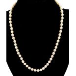 A Vintage Natural High-Quality Pearl Necklace with 18k Gold Clasp. 42cm.