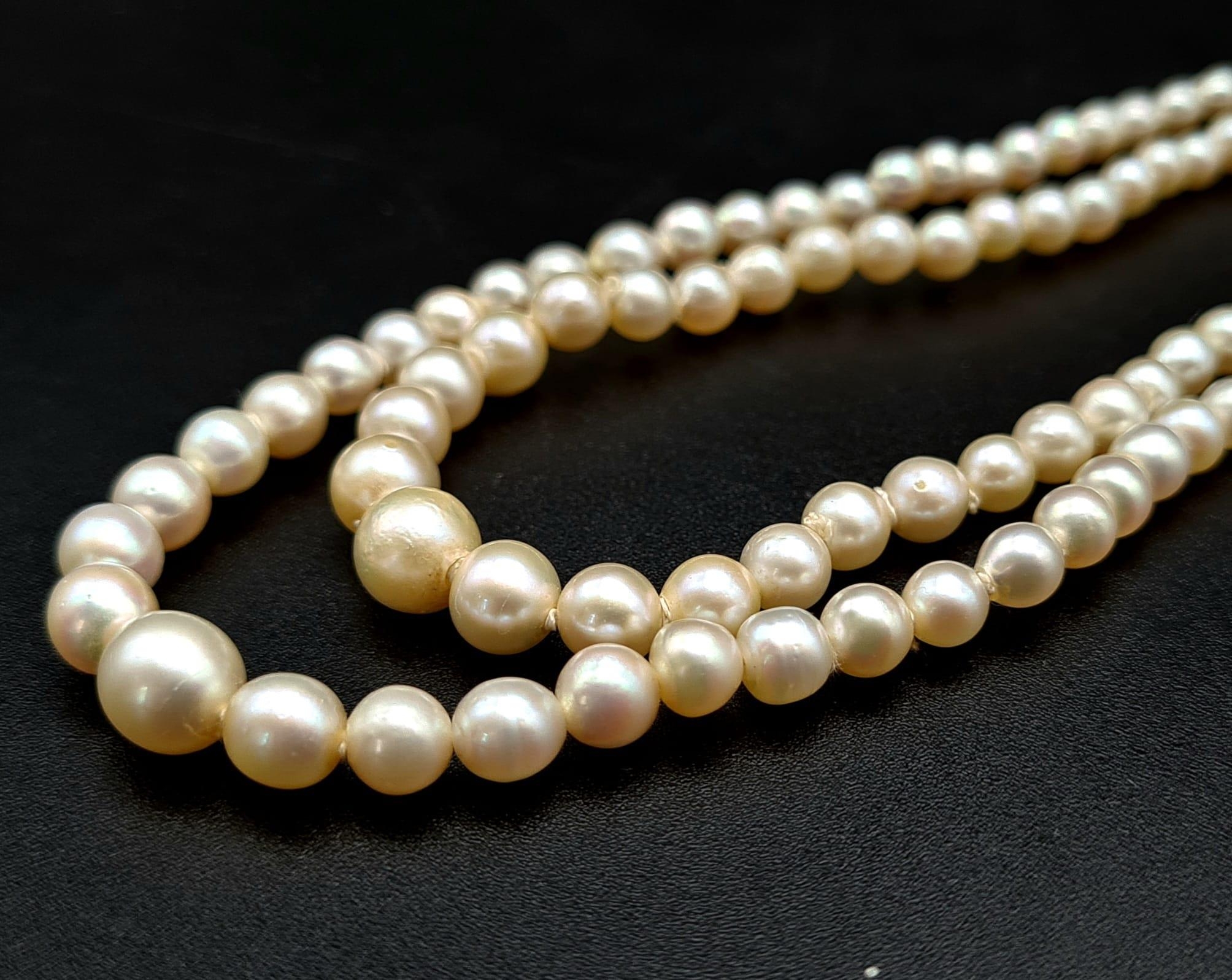 A Vintage Double Strand Graduated Pearl Necklace with White Stone Clasp. 40cm. - Image 2 of 5