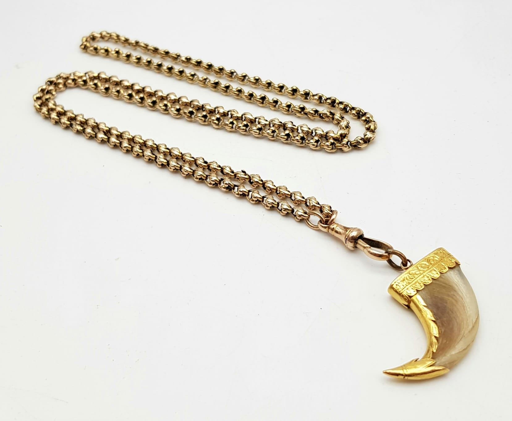 An Antique Tiger Claw Set in 18K Yellow Gold - Presented on an Antique 9K Gold Albert Chain. - Image 3 of 6