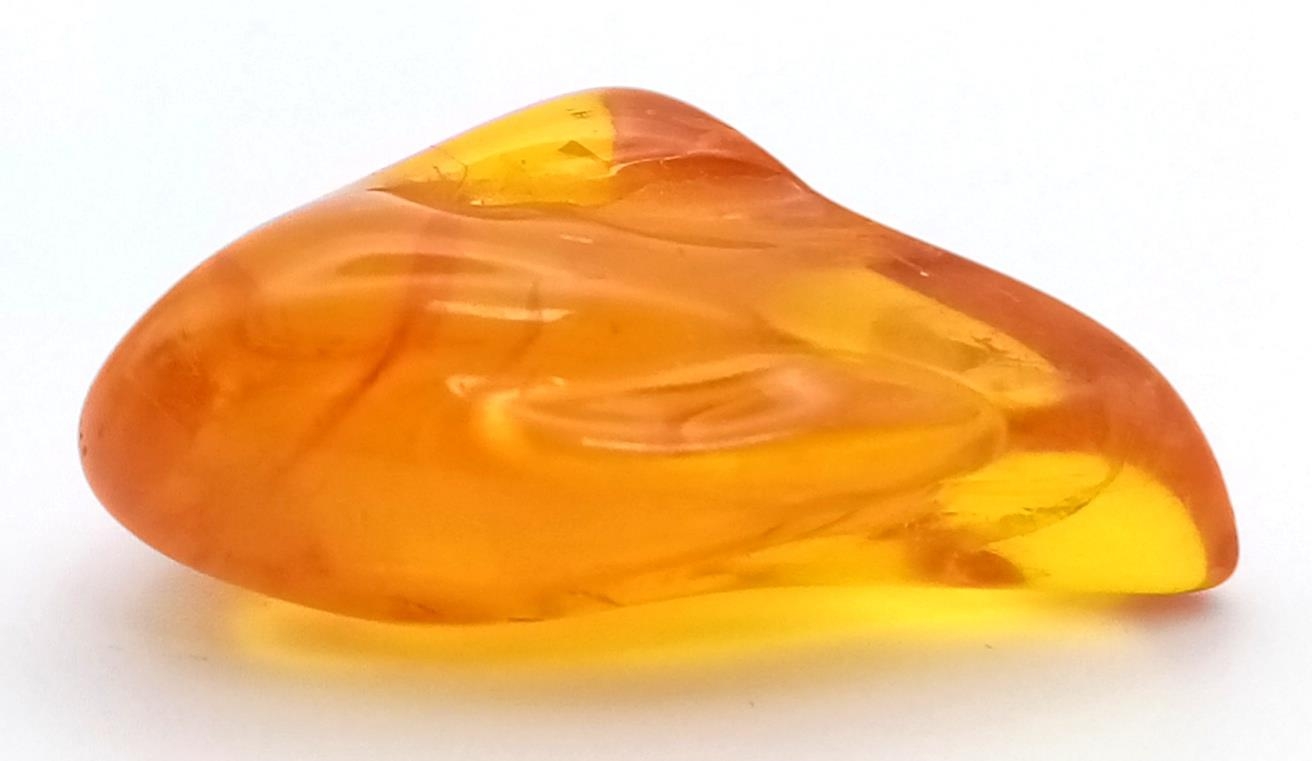 A Small Piece of Baltic Natural Amber. 3.5cm - Bild 2 aus 4