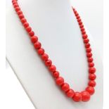 A Red Coral Graduated Bead Necklace. 12mm largest bead. 44cm. Colour enhanced
