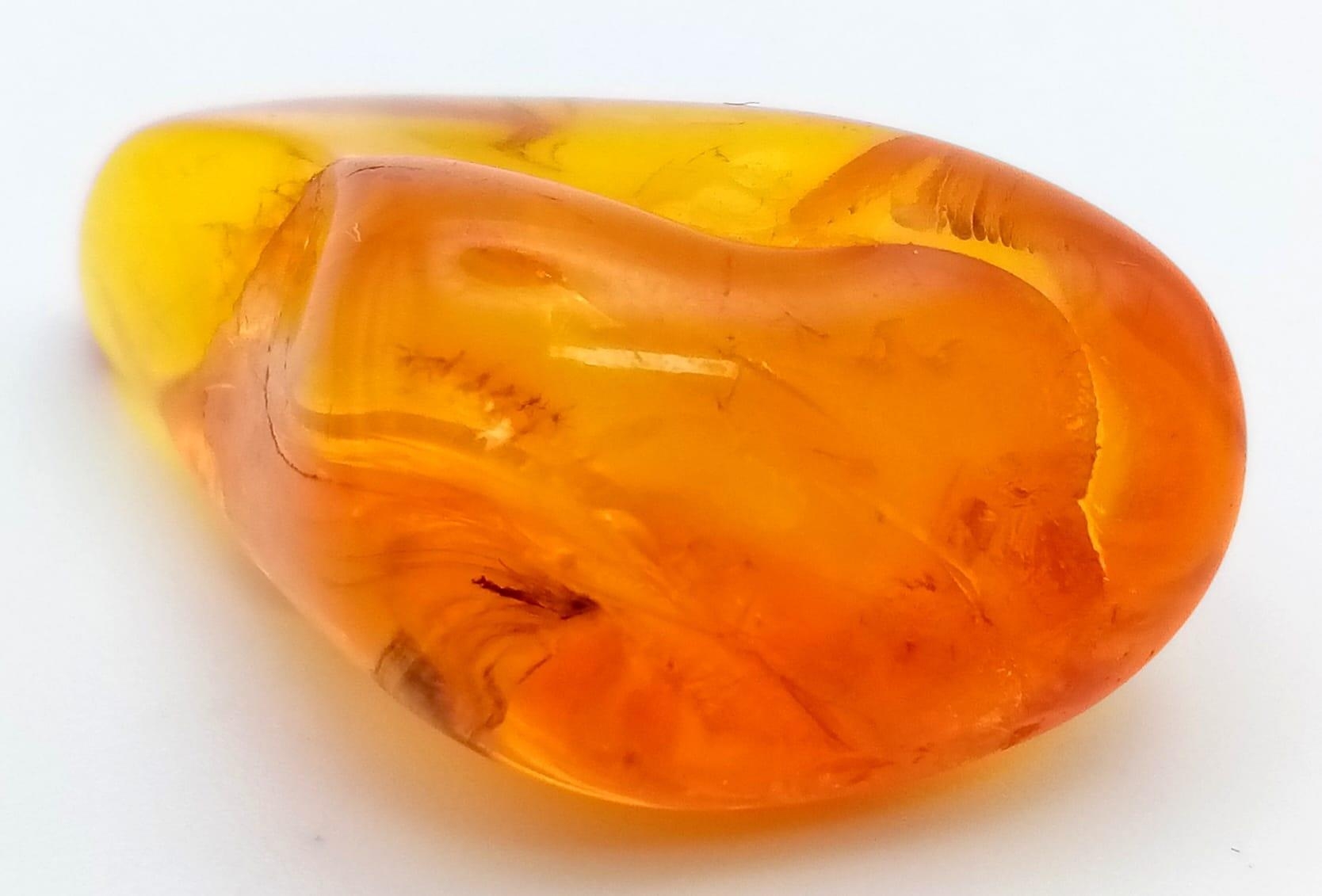 A Small Piece of Baltic Natural Amber. 3.5cm - Bild 3 aus 4