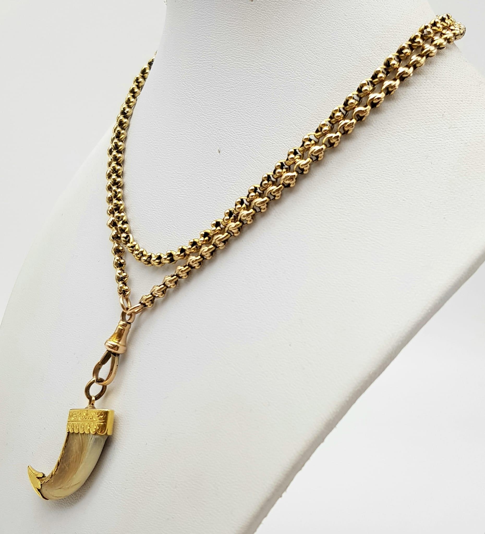 An Antique Tiger Claw Set in 18K Yellow Gold - Presented on an Antique 9K Gold Albert Chain. - Image 2 of 6