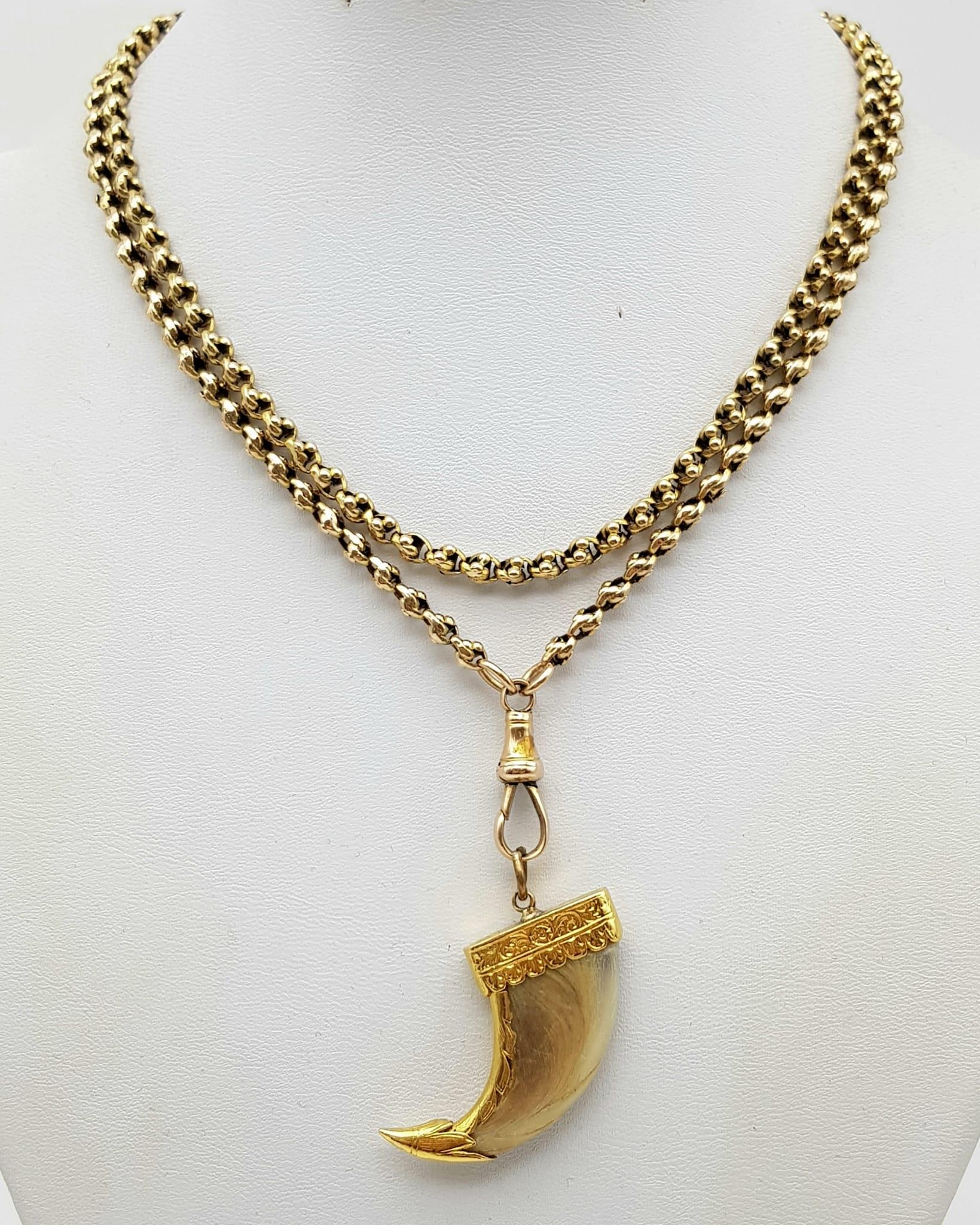 An Antique Tiger Claw Set in 18K Yellow Gold - Presented on an Antique 9K Gold Albert Chain.