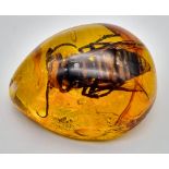 A Humongous Hornet Trapped in an Amber-Coloured Resin. Pendant or paperweight! 5cm
