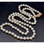 A full row of opera pearls very unusual and in vogue at the moment. A 32 inch of natural cultured