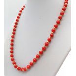 A Small Red Coral Bead Necklace. Gilded spacers and clasp. 44cm. Colour enhanced