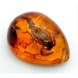 An Unpleasant Looking Scorpion in a Sea of Amber Coloured Resin. Pendant or paperweight. 6 x 4cm