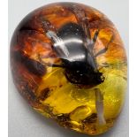 An Awful Looking Black Hornet Type Creature Trapped in Amber Coloured Resin. Pendant or small