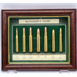 The Dangerous Game Bullet Display Case! Includes large calibre rounds from a: H and H Magnum x 2,