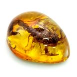 A Scary Looking Scorpion Trapped In Amber Coloured Resin. Pendant or small paperweight. 6cm