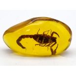 A Nasty-Looking Scorpion Trapped in an Amber-Coloured Resin Pendant or Small Paperweight. 7cm.