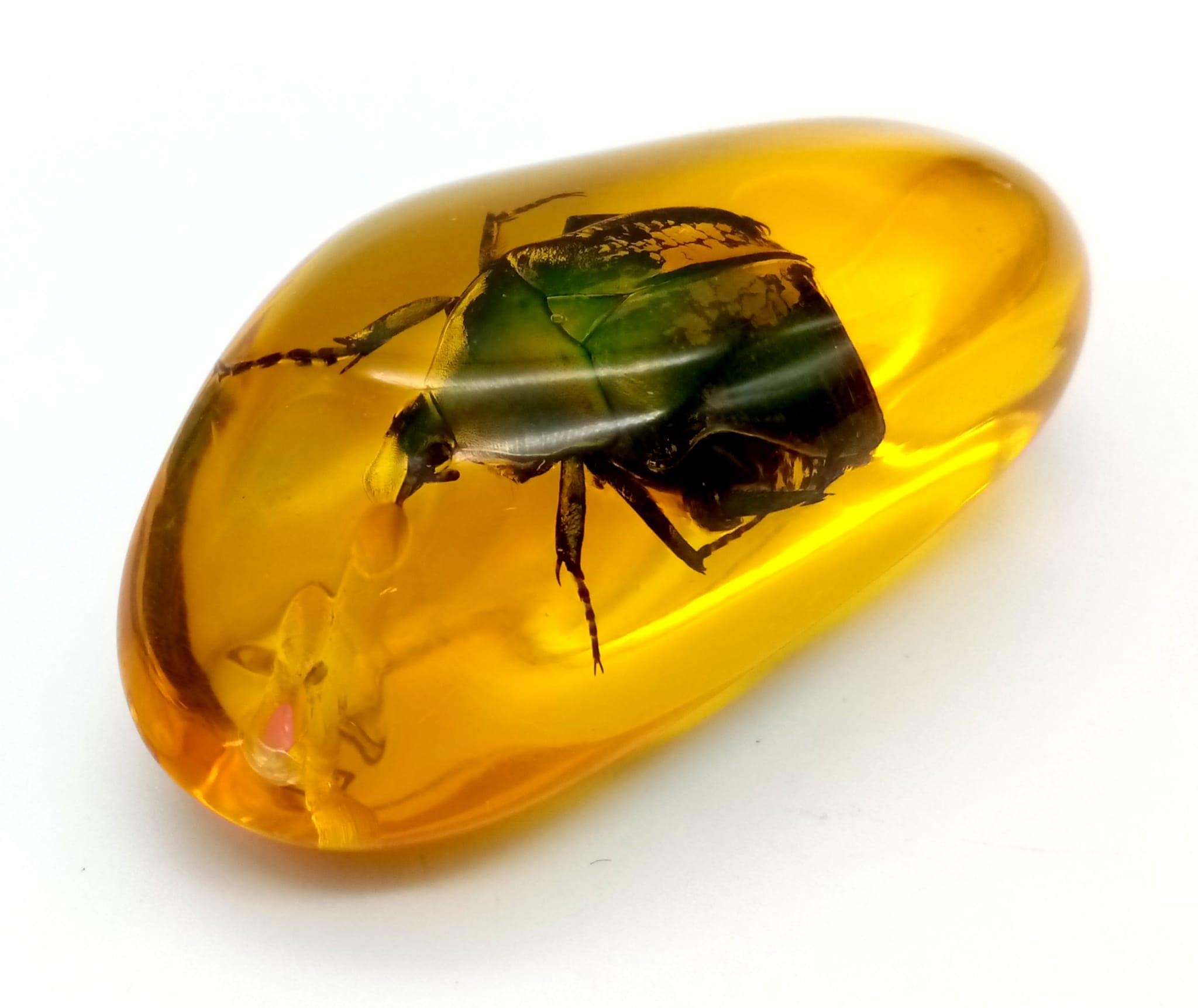 A Bright Green Beetle in an Amber Coloured Resin Pendant or Small Paperweight. 7cm. - Image 2 of 4