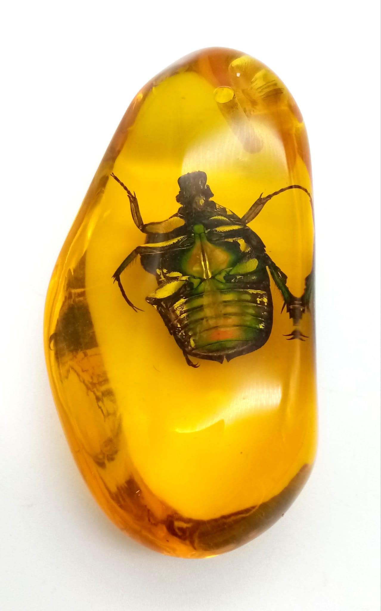 A Bright Green Beetle in an Amber Coloured Resin Pendant or Small Paperweight. 7cm. - Image 3 of 4