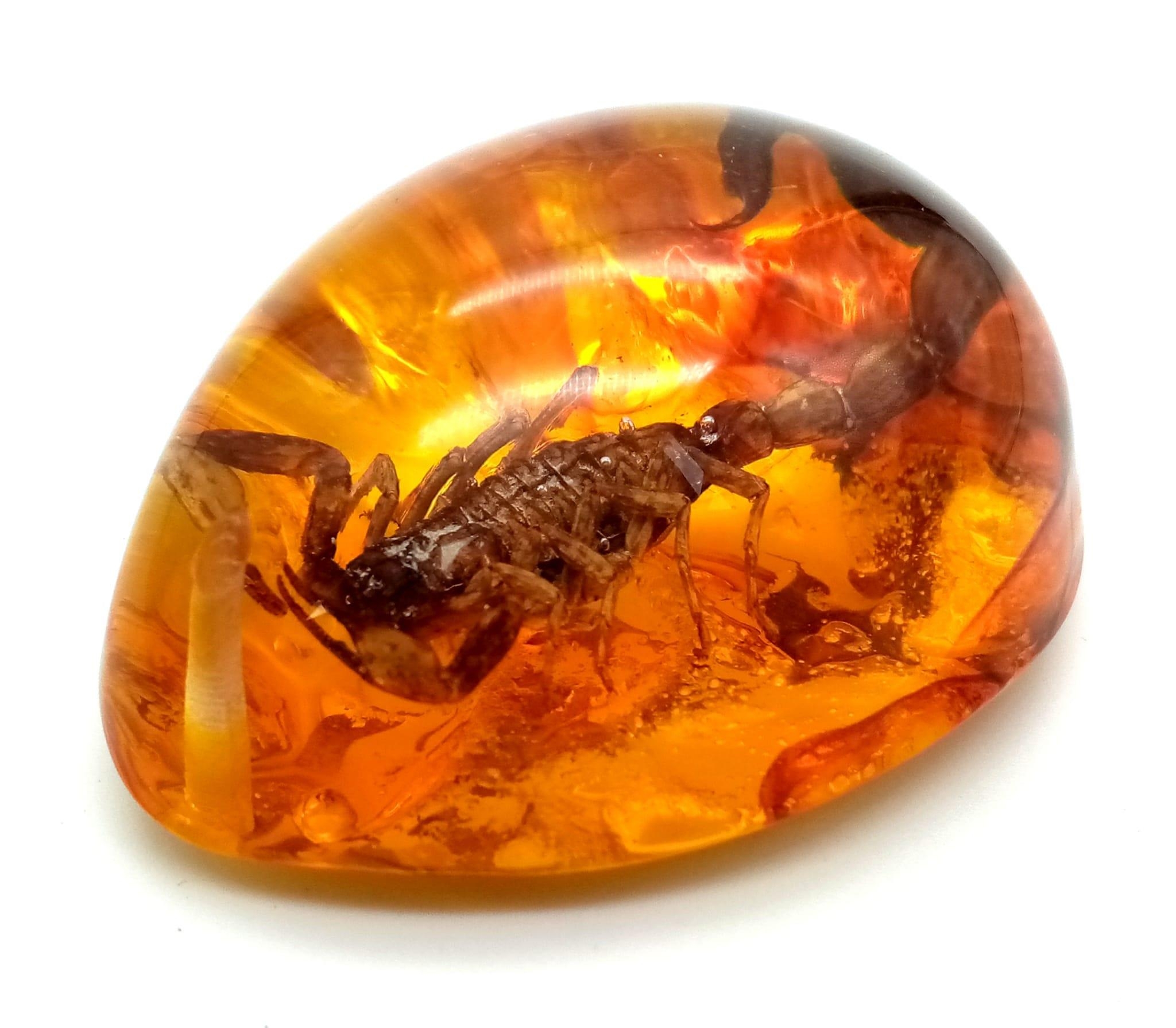 A Ruthless Looking Scorpion Trapped in An Amber Coloured Resin. Pendant or paperweight. 6cm.