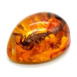 A Ruthless Looking Scorpion Trapped in An Amber Coloured Resin. Pendant or paperweight. 6cm.