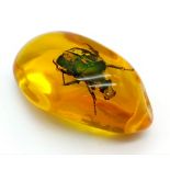 A Bright Green Beetle in an Amber Coloured Resin Pendant or Small Paperweight. 7cm.