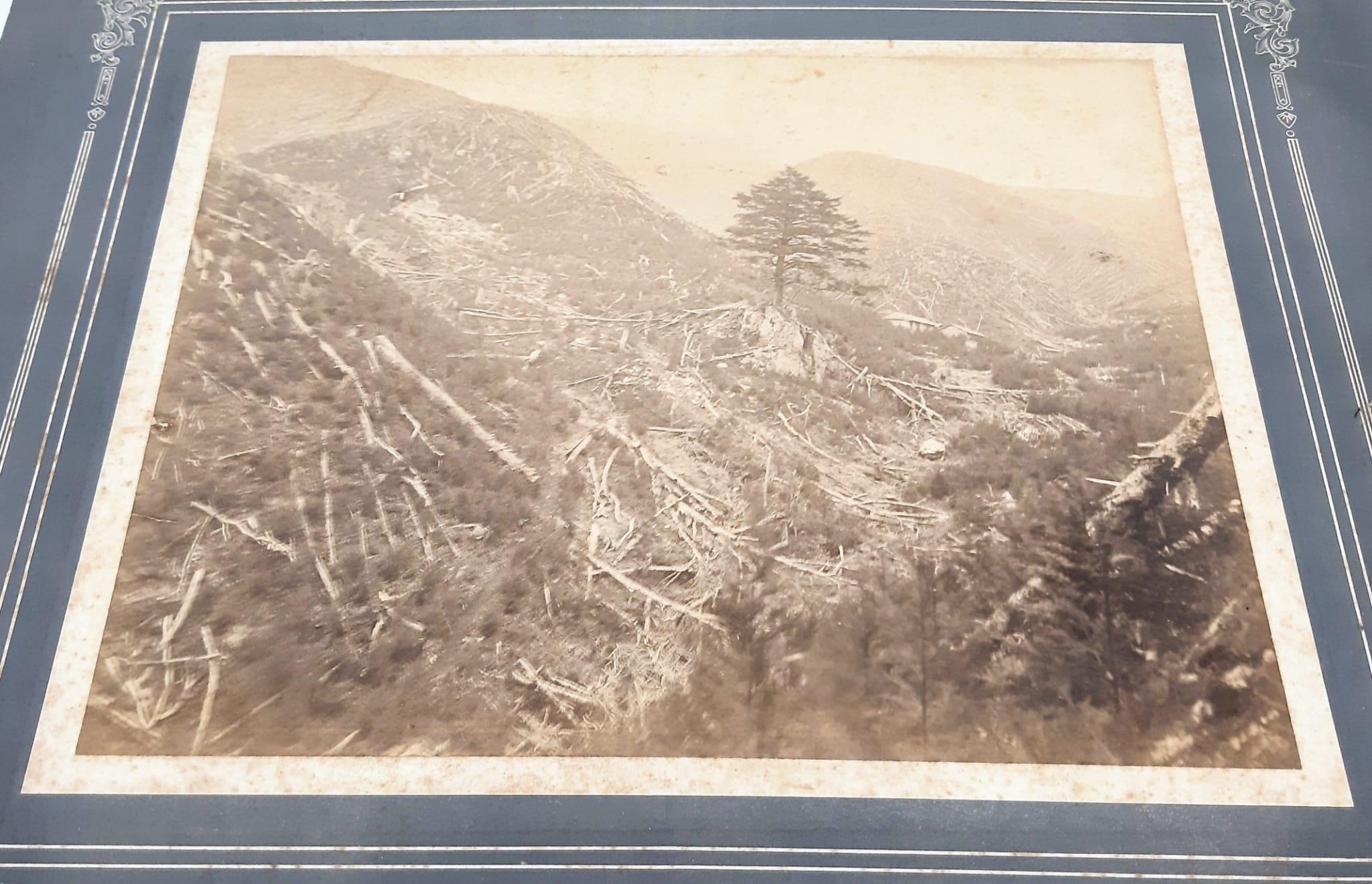 7 ASSORTED LATE 19TH CENTURY JAPANESE REAL LIFE PHOTOGRAPHS WITH VARIOUS SIZES AND SUBJECT MATTERS - Image 4 of 8