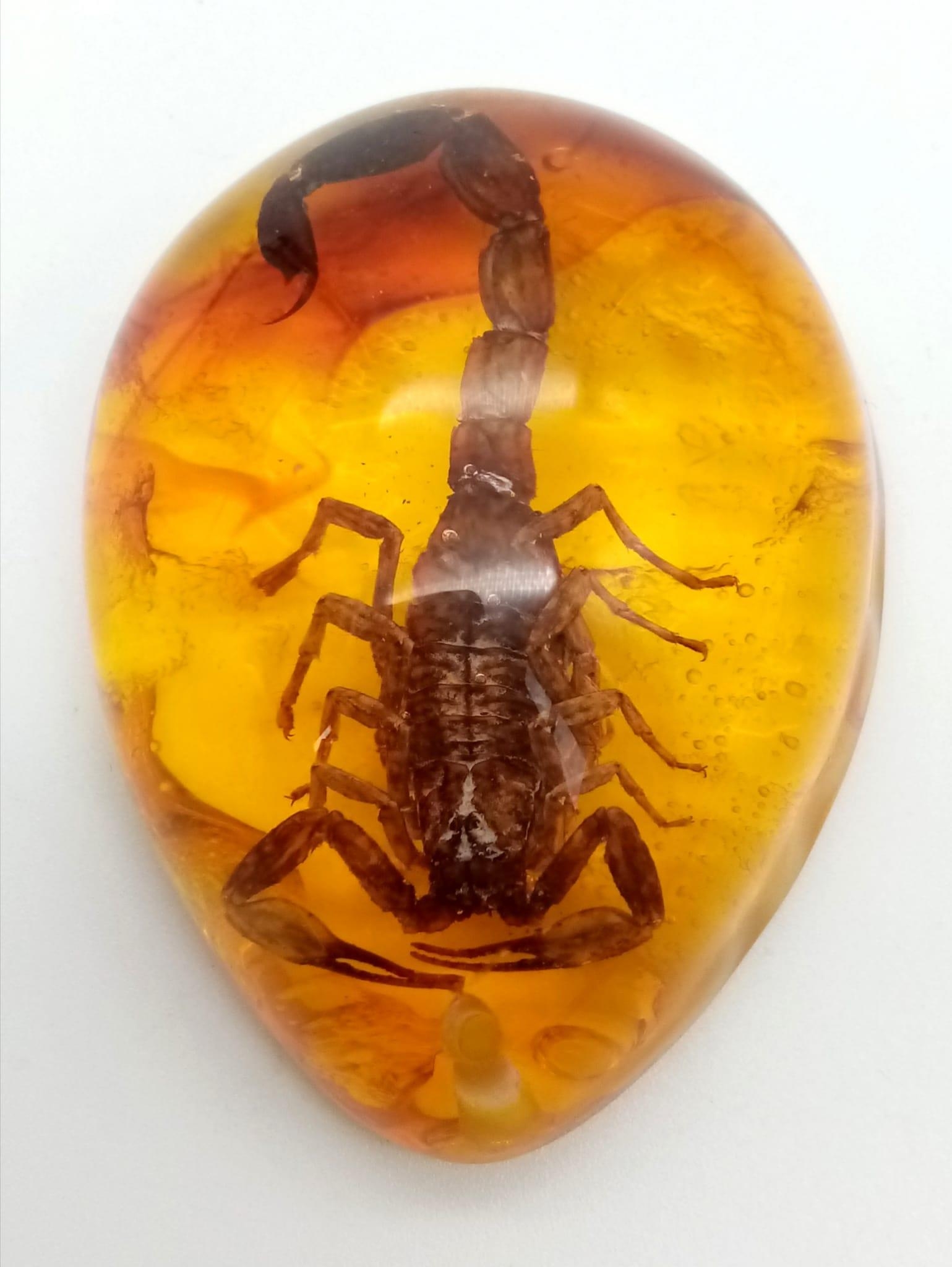 A Ruthless Looking Scorpion Trapped in An Amber Coloured Resin. Pendant or paperweight. 6cm. - Image 2 of 3