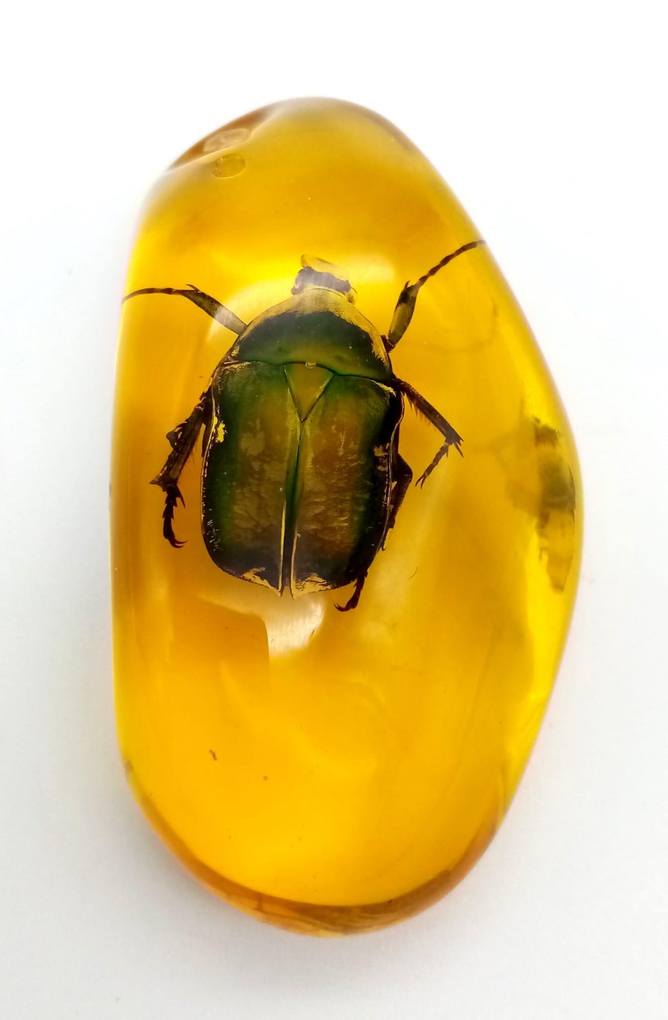 A Bright Green Beetle in an Amber Coloured Resin Pendant or Small Paperweight. 7cm. - Image 4 of 4