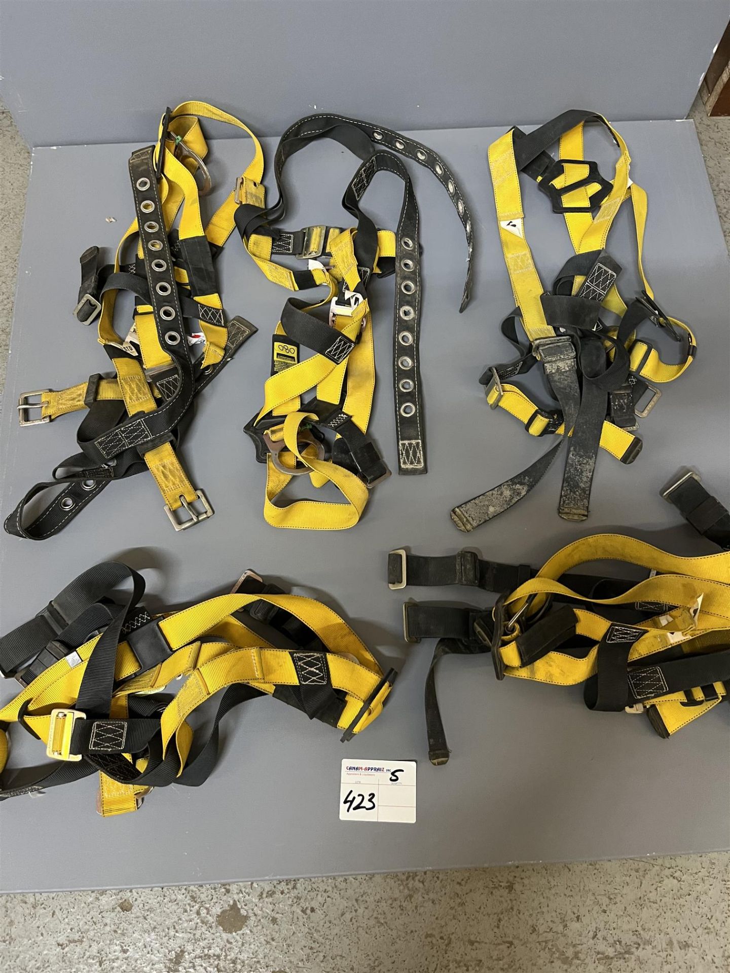Assorted Kosto Safety Harness - 5 Pieces