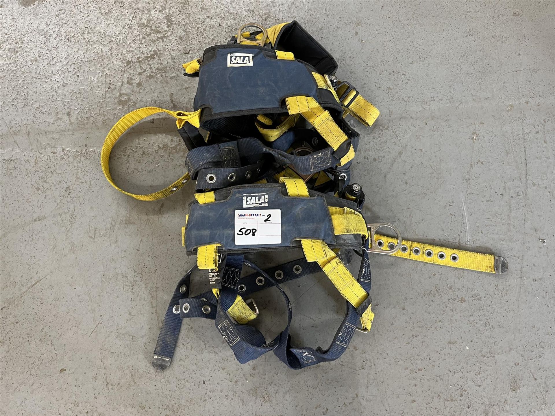 SALA Harness with Attachments - 2 Sets