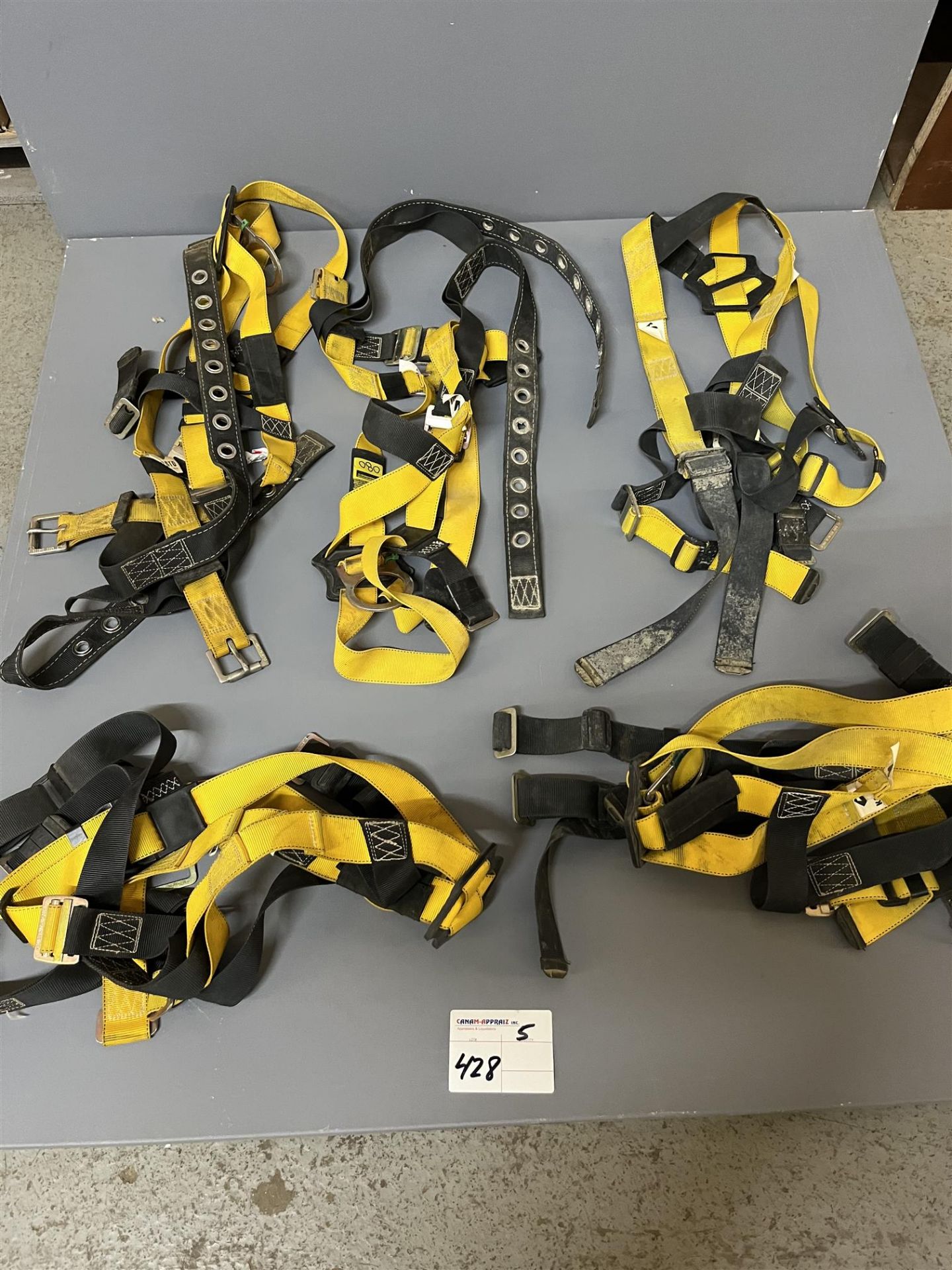 Assorted Kosto Safety Harness - 5 Pieces