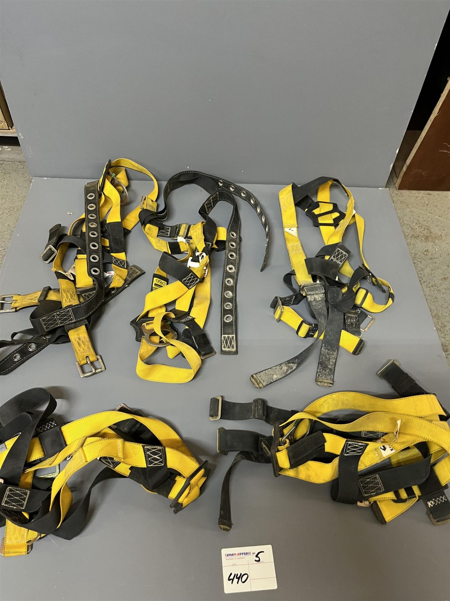 Assorted Kosto Safety Harness - 5 Pieces