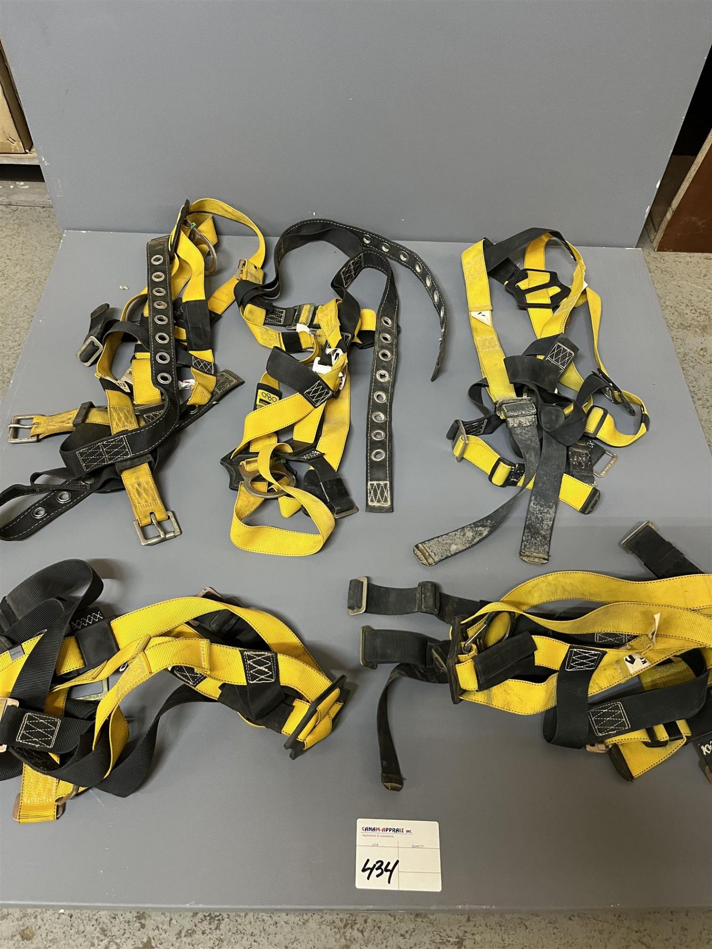 Assorted Kosto Safety Harness - 5 Pieces