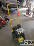 Vibratory Plate Compactor