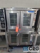 Double Electric Convection Oven