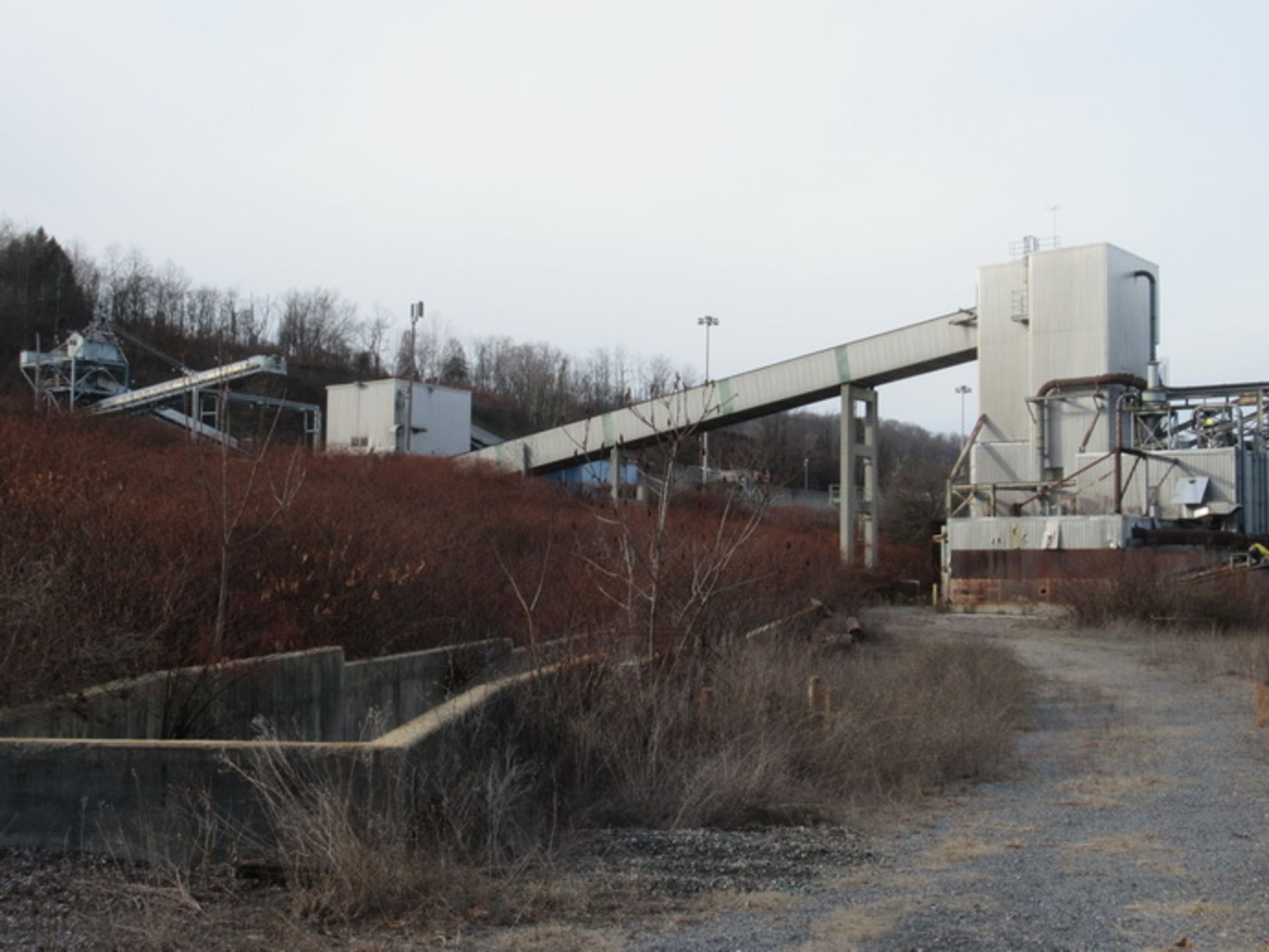 Entirety Bid for Entire Wood Chip Yard - Image 14 of 22