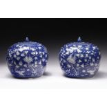 Arte Cinese A pair of blue and white potiches China, Qing dynasty, 19th century.