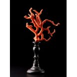 A red coral branch Italy Cm 16,50