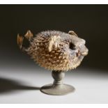 Porcupine fish Cm 25,00 x 47,00