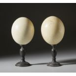 Two ostrich eggs Cm 11,00 x 24,50