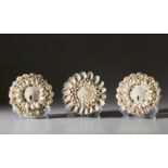 Three shell rosettes Cm 24,50 x 24,50