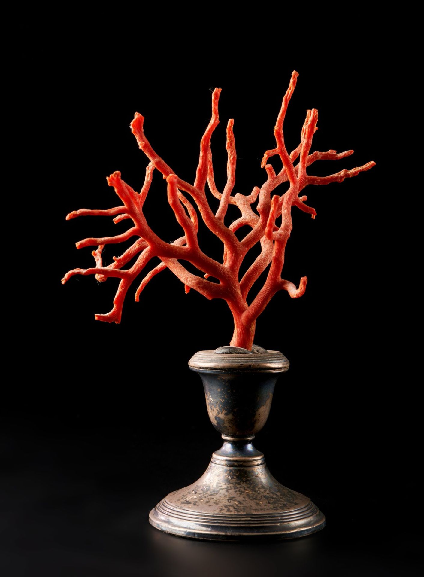 A red coral branch on a silver base Italy Cm 11,00 - Bild 2 aus 2