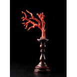 A small red coral branch on a wooden stand Italy Cm 12,00