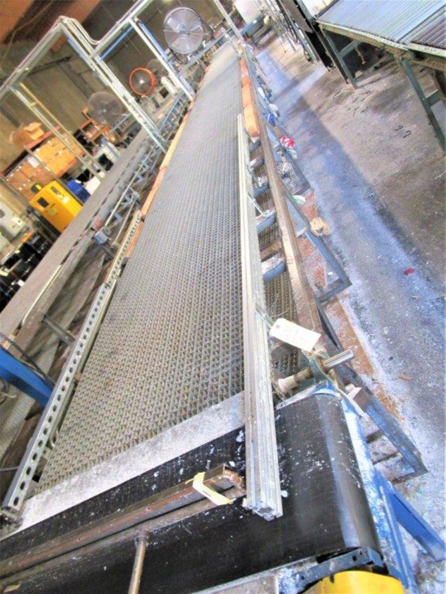 50'X3' SS MOTORIZED LINK CONVEYOR