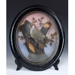 Taxidermy: A woodpecker, in an oval wall mount, total frame 52 x 46 cm Some wear some loss of colour